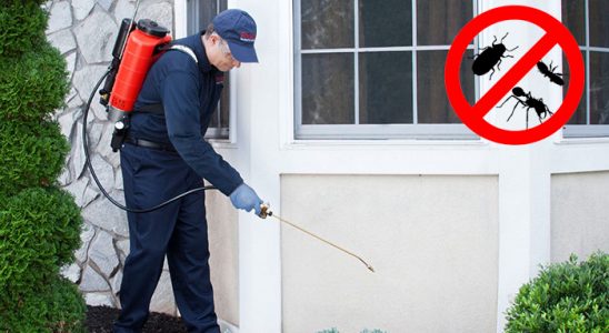 Doğanhisar Dezenfeksiyon böcek ilaçlama ve haşere kontrolü — ilaclama-tr.com